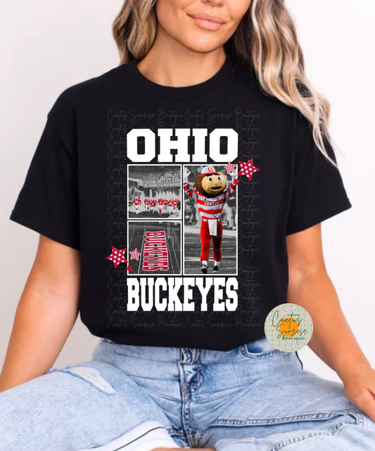 Ohio Buckeyes- White