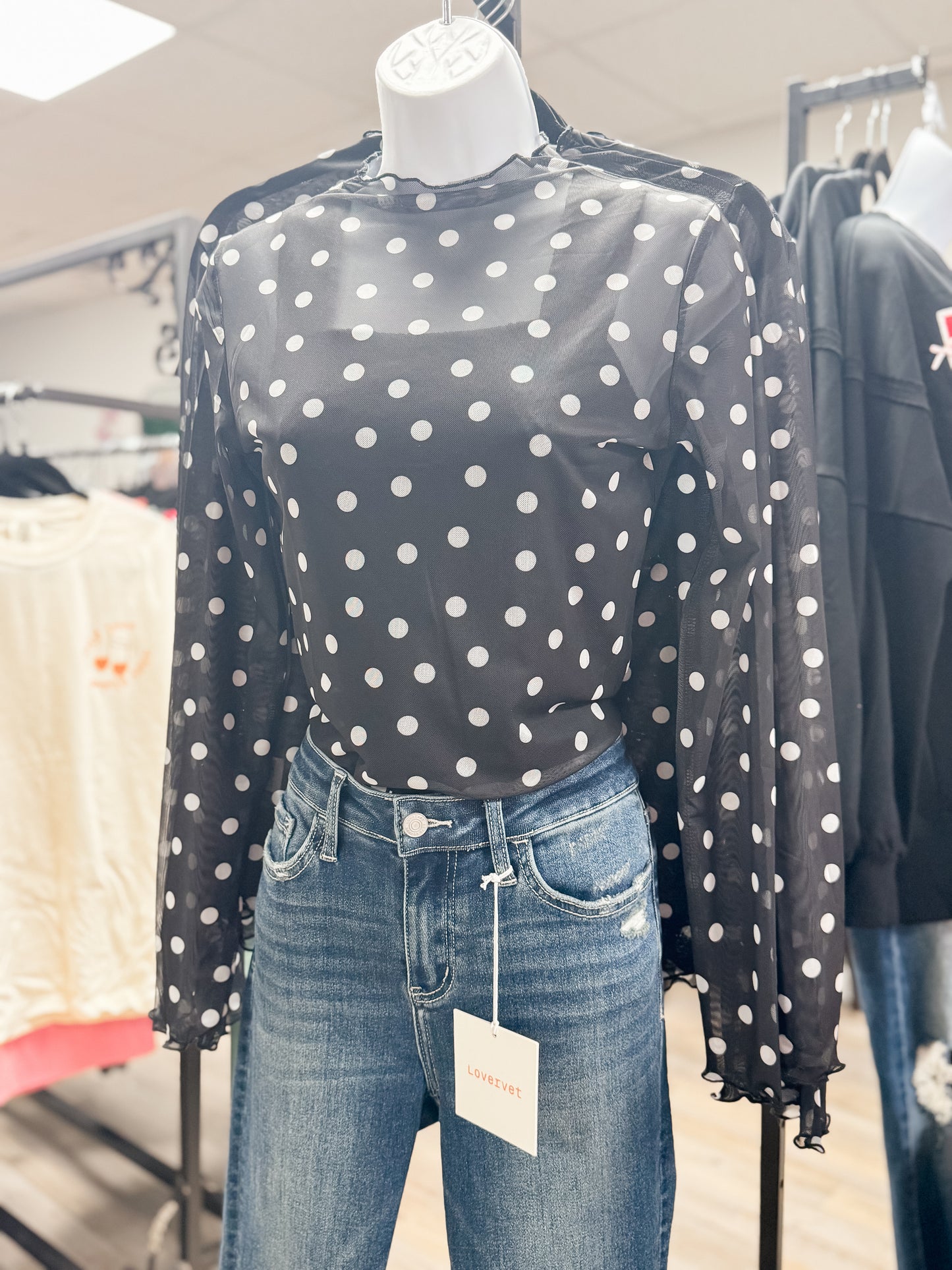 Polka Dot Mesh Long Sleeve Top