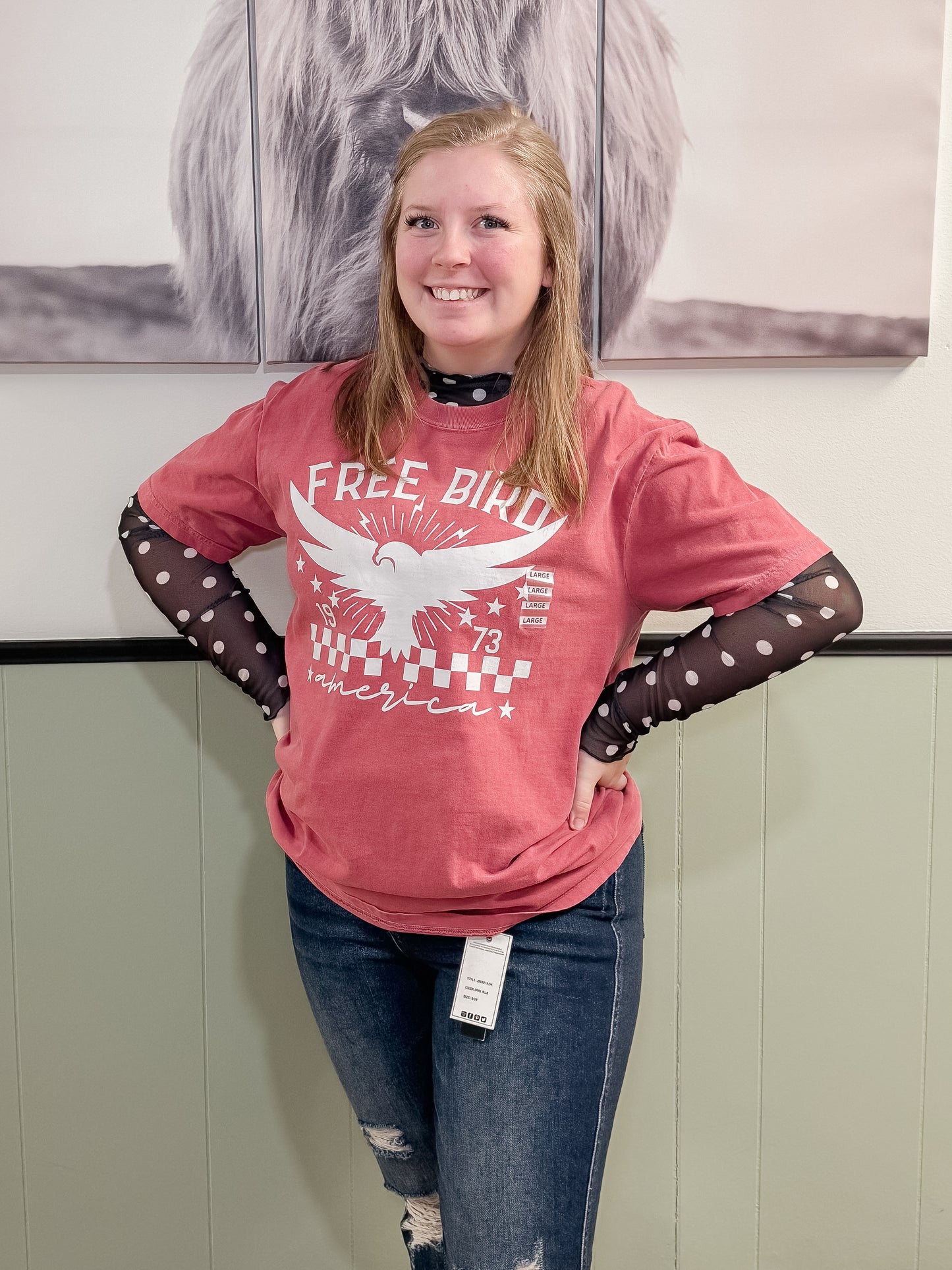 Polka Dot Mesh Long Sleeve Top