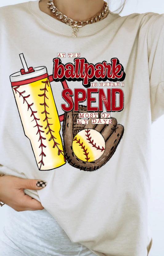 At the ballpark- Baseball/Softball Combo